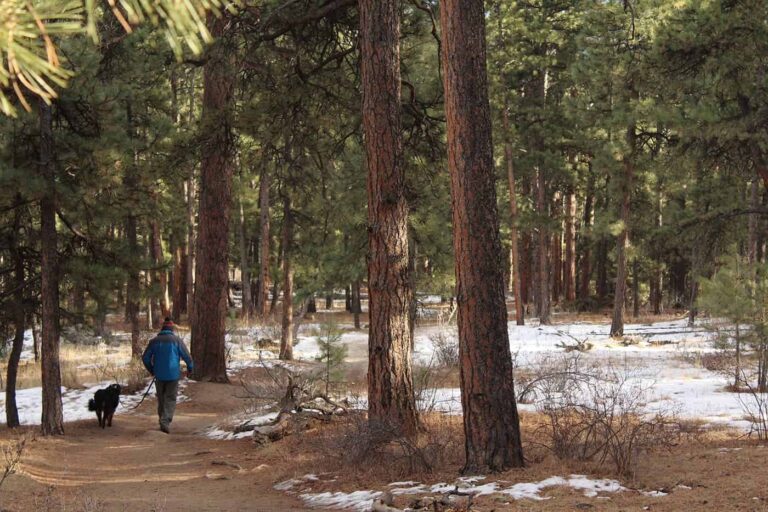 zac farmer ceheksjkbbe unsplash