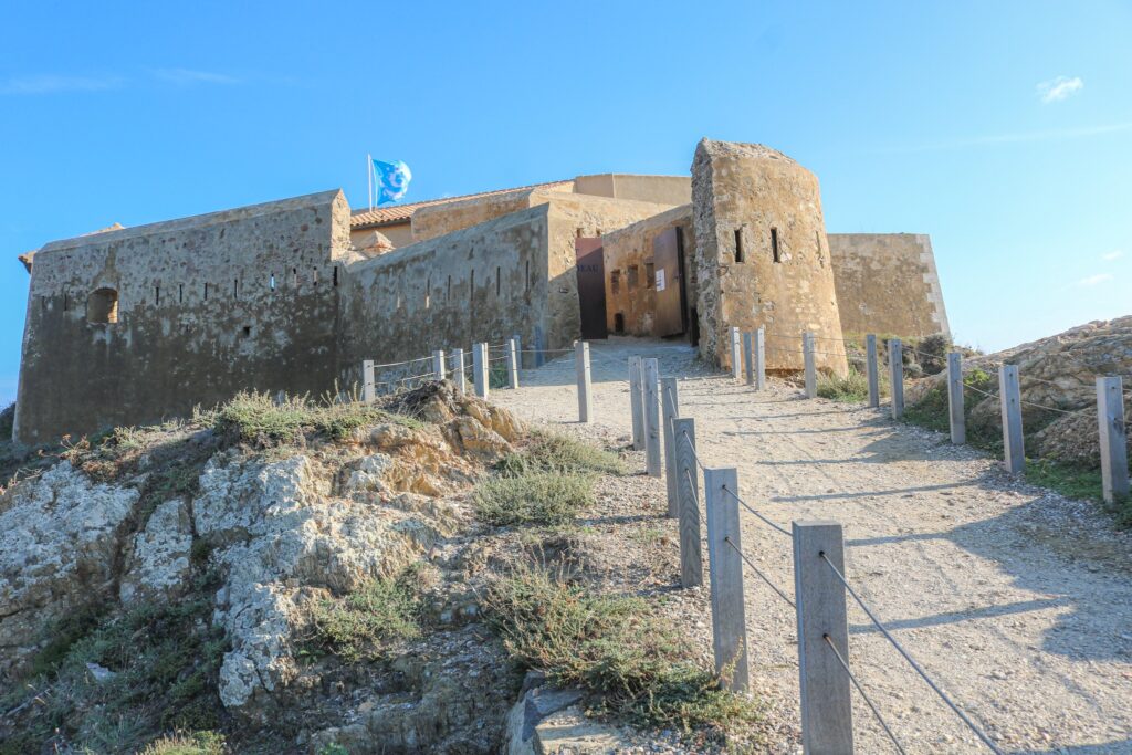 498215119 3143428452463001 5824461417852171991 n