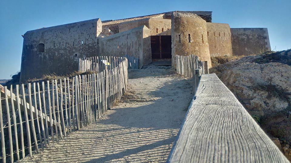 509424107 3184478685024644 8345142186538090448 n