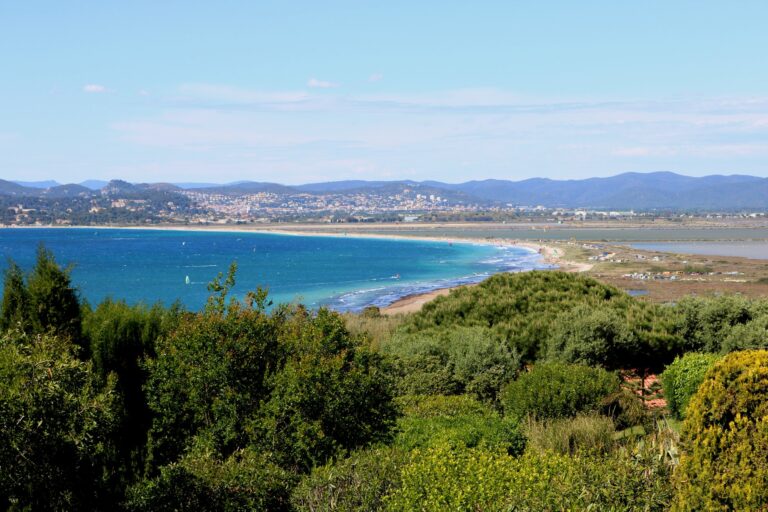 59445210 1316638151808716 2667902103657119744 n