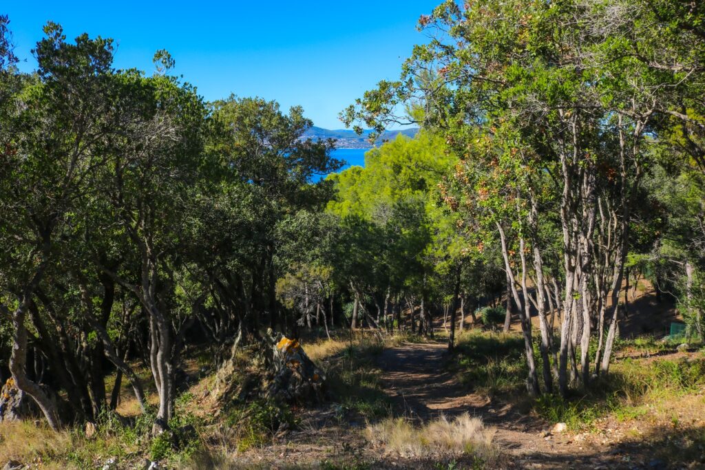 La presqu’île de Giens, un patrimoine naturel particulièrement vulnérable