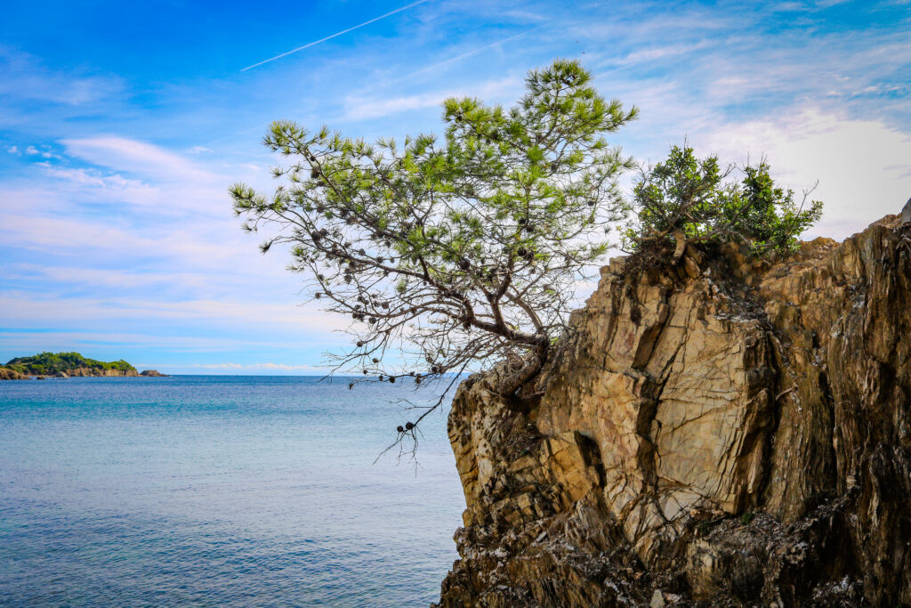 Paysage côtier sauvage de la presqu’île de Giens, entre rochers, végétation méditerranéenne et mer turquoise, le long du sentier du littoral vers la Pointe de l’Estérel.