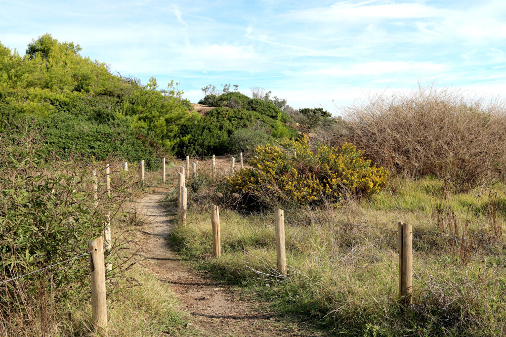 sentier aménagé de la Pointe de l’Estérel, au cœur de la végétation méditerranéenne de la presqu’île de Giens à Hyères.