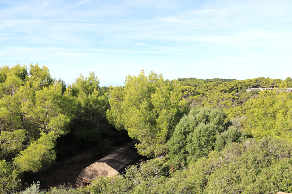 Végétation méditerranéenne et maquis bordant le sentier côtier de la presqu’île de Giens, en direction de la Pointe de l’Estérel à Hyères.